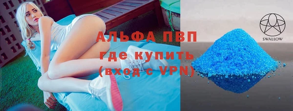 стаф Козельск