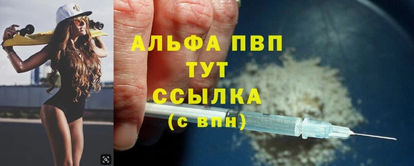 стаф Козельск