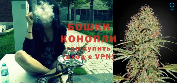 стаф Козельск