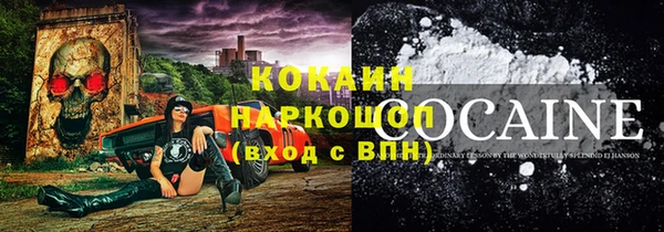 стаф Козельск