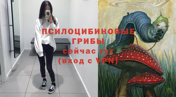 стаф Козельск