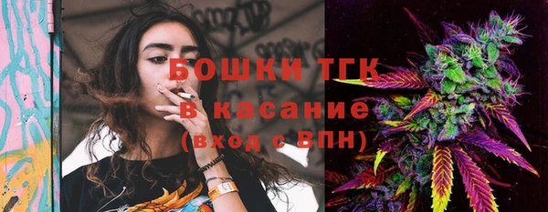 стаф Козельск