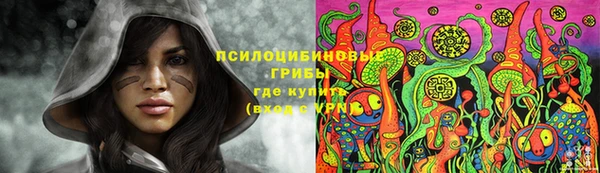стаф Козельск